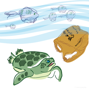 Turtle and plastic bag dilemma