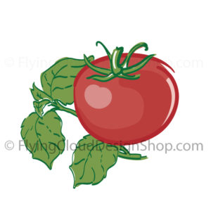 tomato basil art illustration