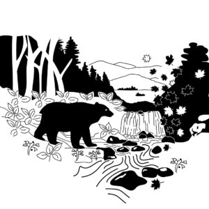 bear and waterfall forest scene